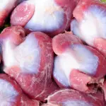 Gizzard