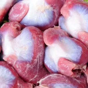 Gizzard