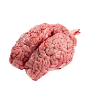 Beef/Veal Brain