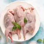 Baby Chicken