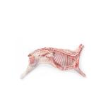 Half lamb