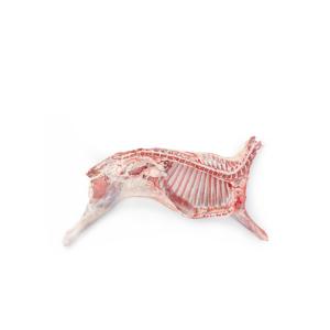 Half lamb