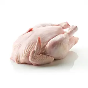 Organic Chicken