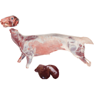 Whole lamb with head and liver
