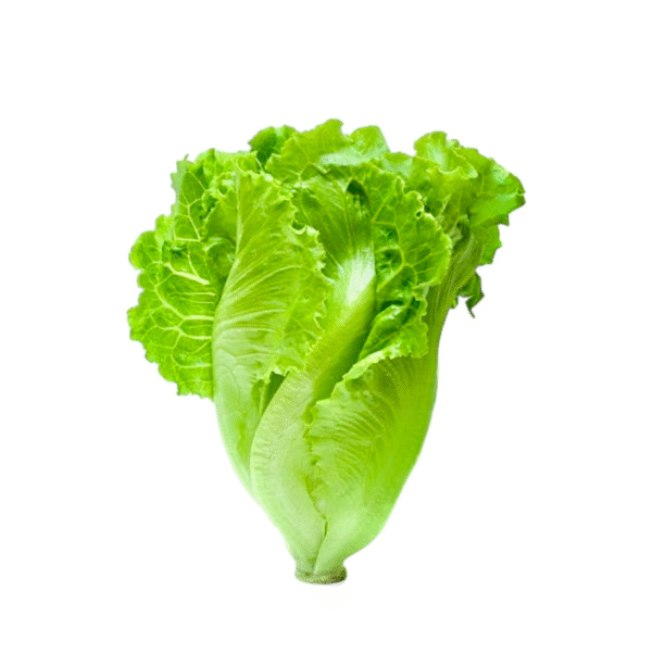 Lettuce